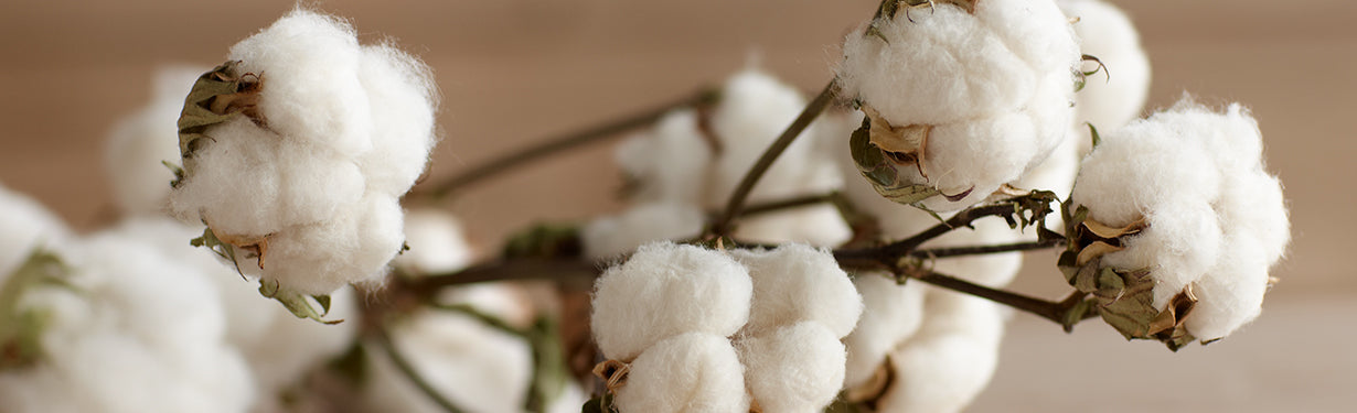 Organic Baby Clothes vs. Conventional: What’s the Difference & Why It Matters