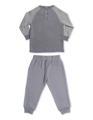 Turtle Playset Organic Cotton Grey - Jazzy Organics