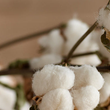 Organic Baby Clothes vs. Conventional: What’s the Difference & Why It Matters